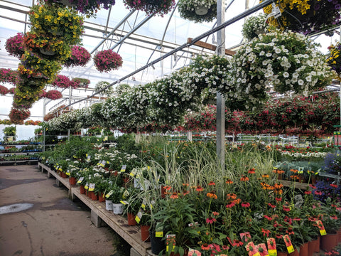 Garden Centers